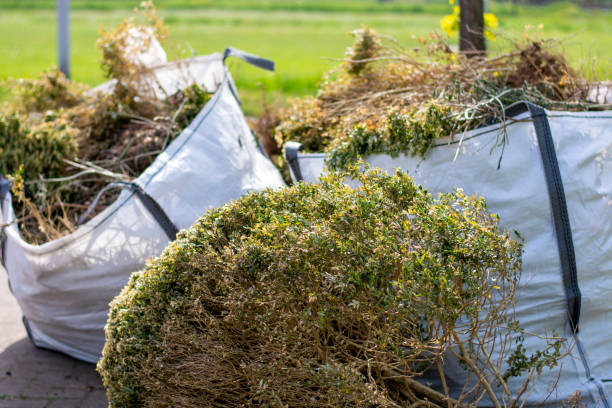 Evergreen Park, IL Junk Removal  Company